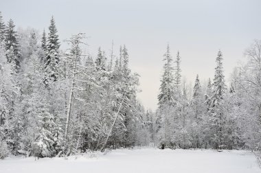 Tayga gölde Kış başlangıcı