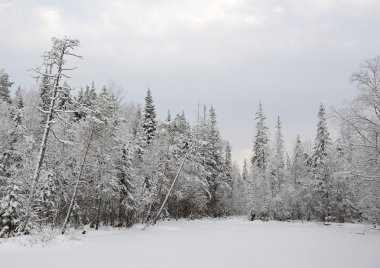 Erken kış kar ve hoarfrost ile gölde Tayga.