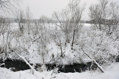 Soğuk bir gün vahşi akışta ayrıntılarını