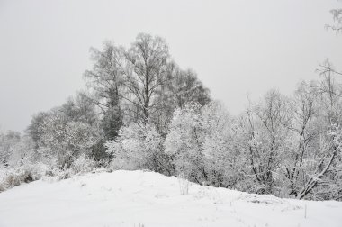 Kış başında bulutlu gün