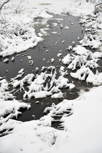 Dziki potok w początku zimy — Zdjęcie stockowe