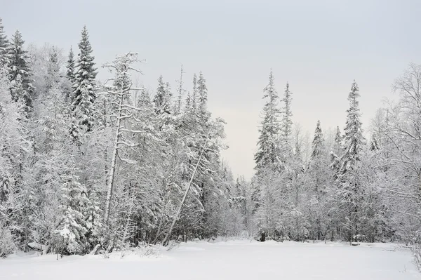 Lago Taiga a principios de invierno —  Fotos de Stock