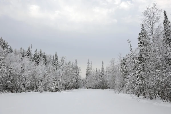 Tayga gölde Kış başlangıcı