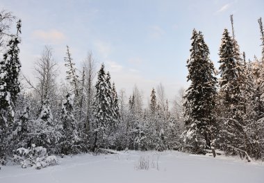 bir soğuk kış gününde Tayga göl günbatımı