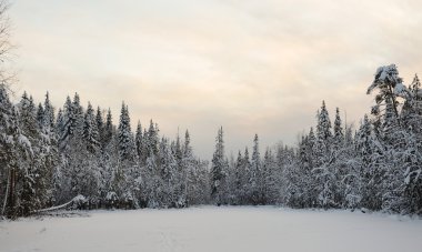 bir soğuk kış gününde Tayga göl günbatımı