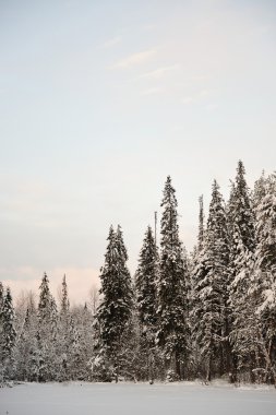 bir soğuk kış gününde Tayga göl günbatımı
