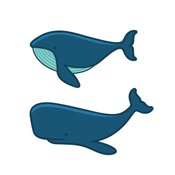 Whale Set. Cartoon Style on White Background. Vector — Stock Vector