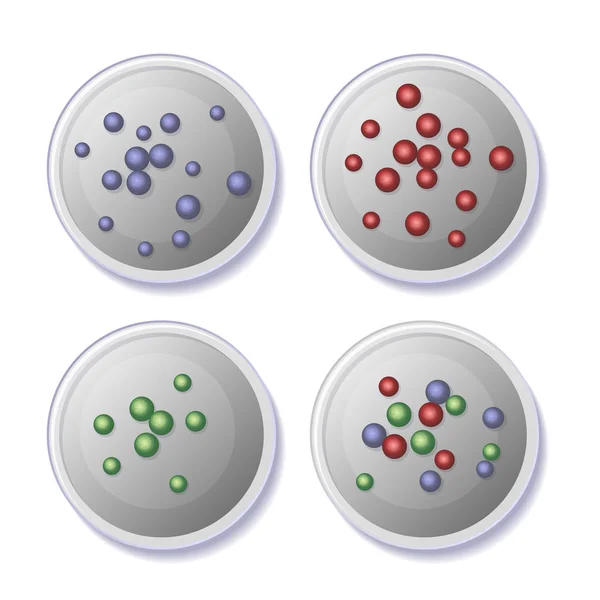 Conjunto de platos Petri con iconos bacterianos. Vector — Vector de stock