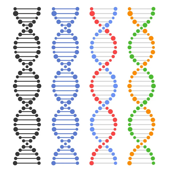 Dna 게놈 분자 집합입니다. 벡터 — 스톡 벡터