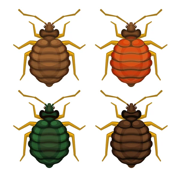 Bedbug Set on White Background. Vector — Stock Vector