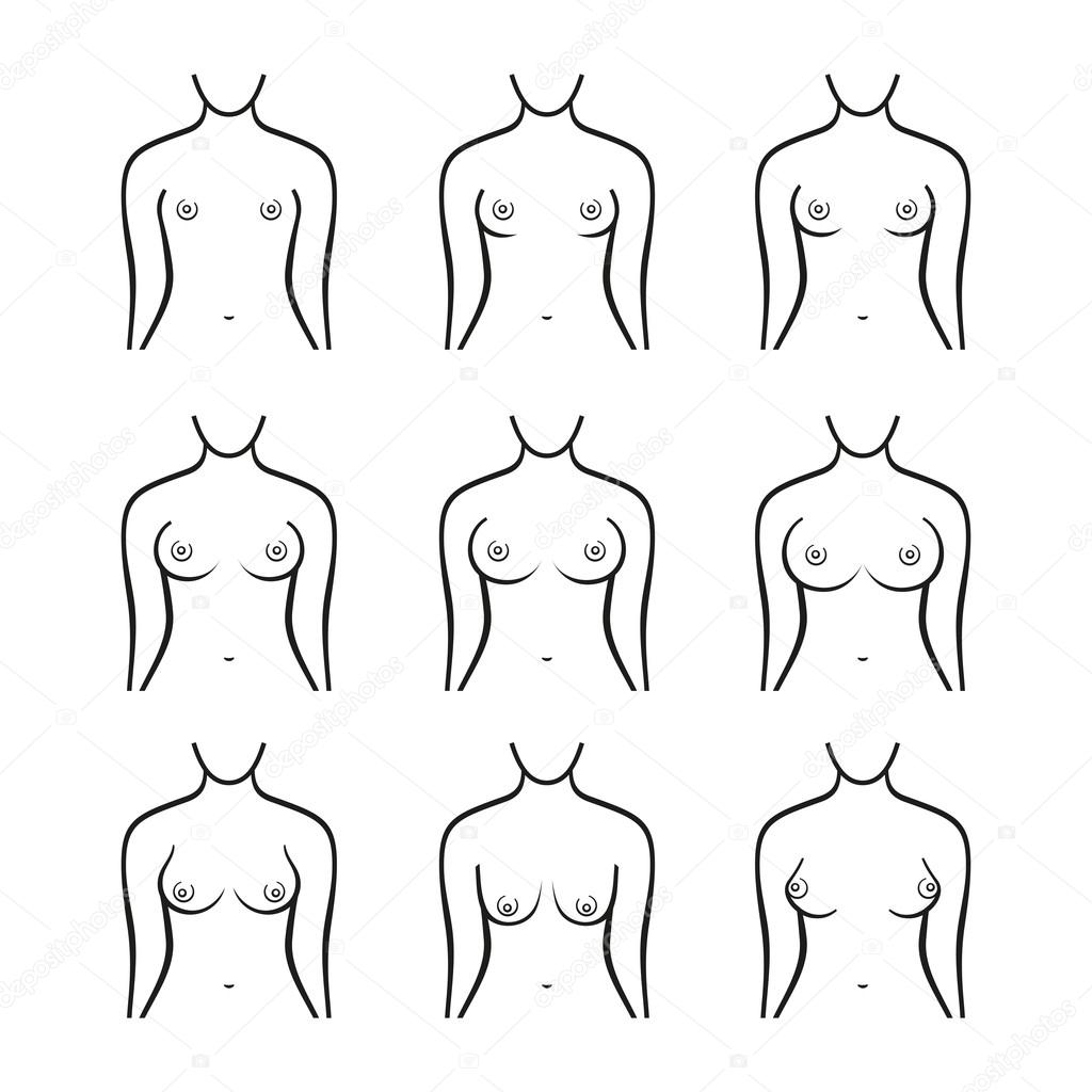 Female Breast Set. Different Types, Size and Form. Vector Stock Vector by  ©in8finity 113550450
