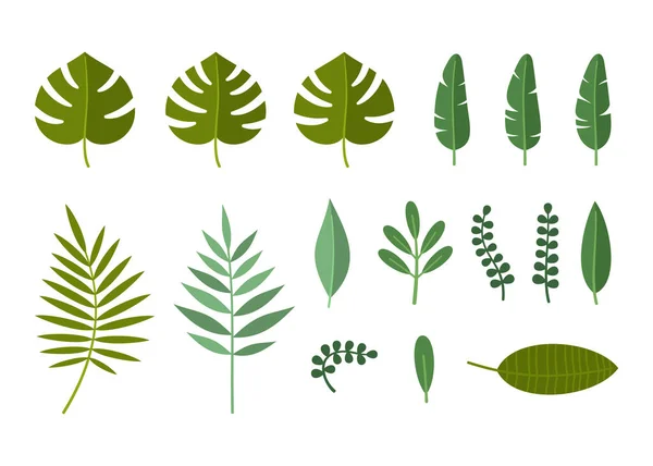 Tropical Plant and Palm Leaves Set. Vector — Archivo Imágenes Vectoriales