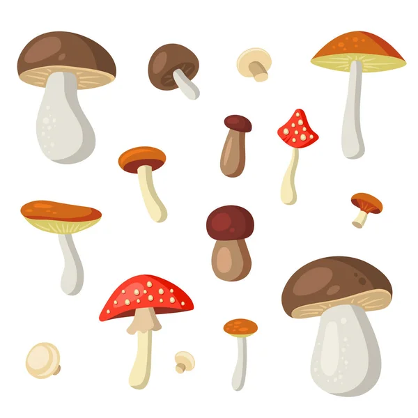 Cogumelos Desenhos animados estilo definido no fundo branco. Vetor — Vetor de Stock