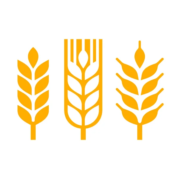 Wheat Ear Spica Icon Set. Vector — Stock Vector