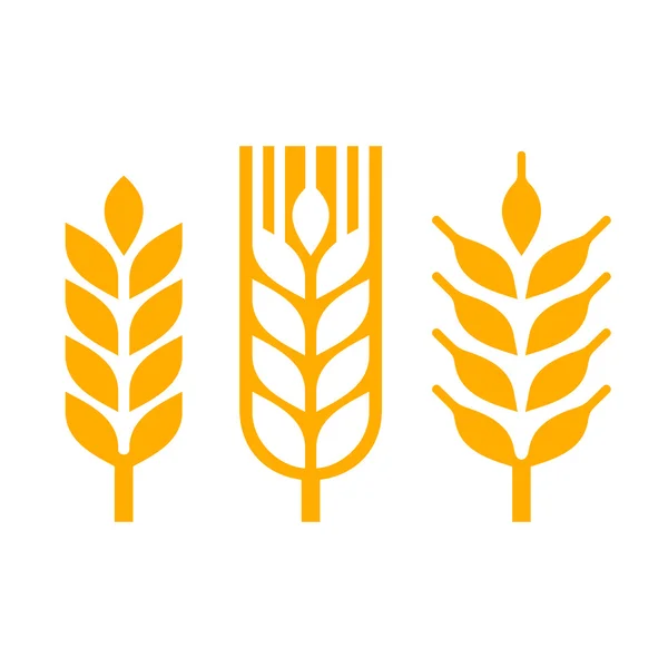 小麦的耳朵 Spica 图标集。矢量 免版税图库插图