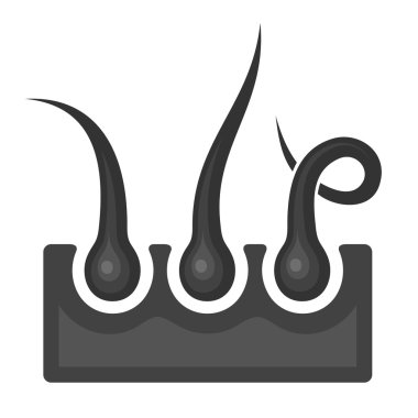 Saç folikülü simgesi. Vektör