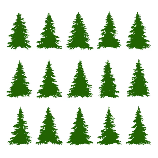 Conifer bomen instellen op de witte achtergrond voor Forest-achtergronden maken. Vector — Stockvector