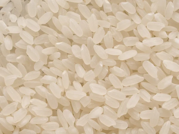 Grano corto japonés calrose arroz alimentos fondo —  Fotos de Stock