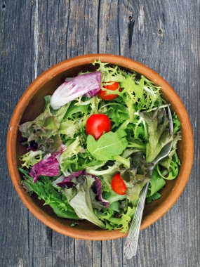 Yeşil rustik salata