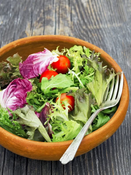 Salades vertes rustiques — Photo