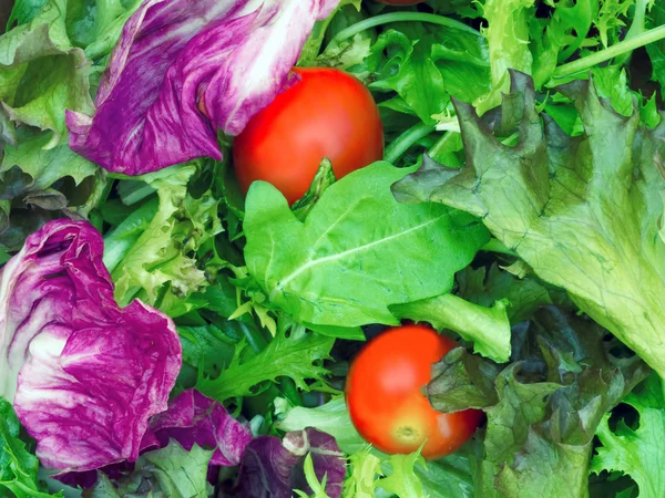 Salade greens voedsel achtergrond — Stockfoto