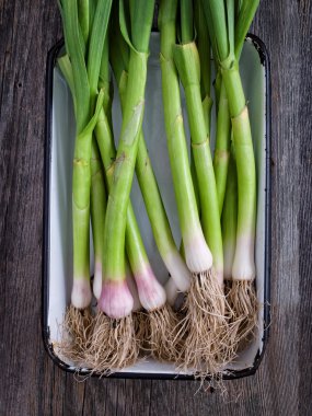  pırasa rustik tepsi