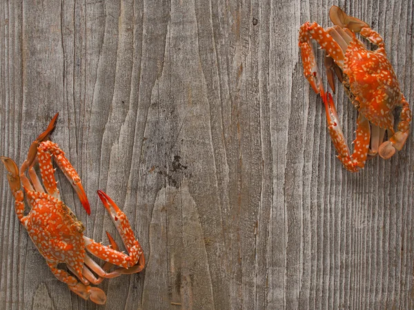 Seafood menu signboard background — Stock Photo, Image