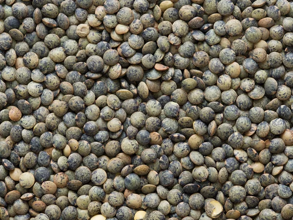 Dried french green puy lentil food background — Stock Photo, Image