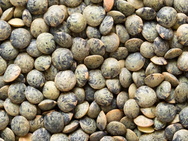 Dried french green puy lentil food background — Stock Photo, Image