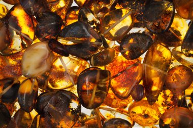 Amber stones
