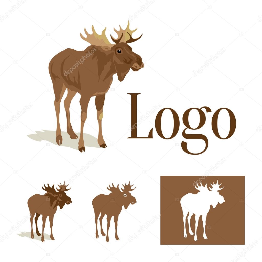 Differently detailed moose isolated for logo or mascot.