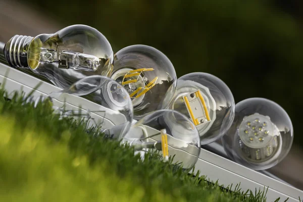 LED, halogen and tungsten bulbs on solar panel, some on the gras — Stock Photo, Image