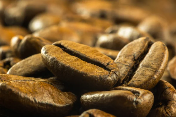 Detail of medium roasted coffee beans — Stock Photo, Image