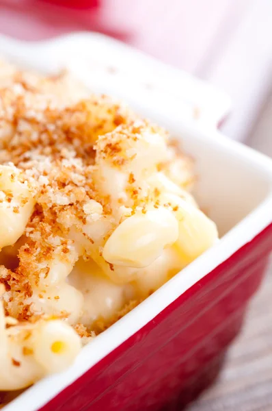 macaroni with cheese and breadcrumb topping