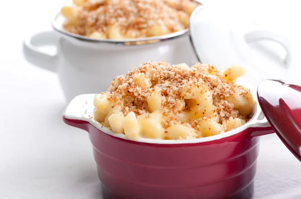 macaroni with cheese and breadcrumb topping