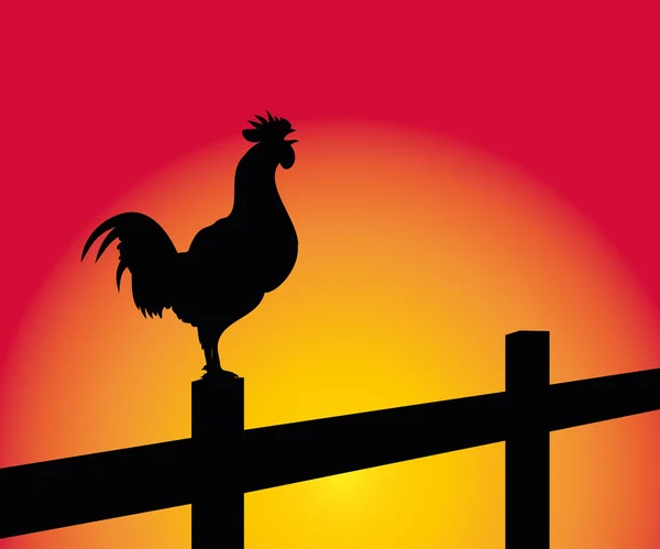 Crowing rooster on a fence — Stock Vector