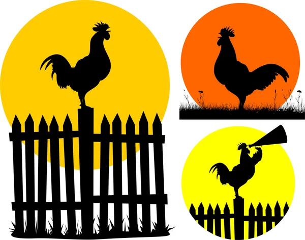Crowing rooster and rising sun — Stock Vector