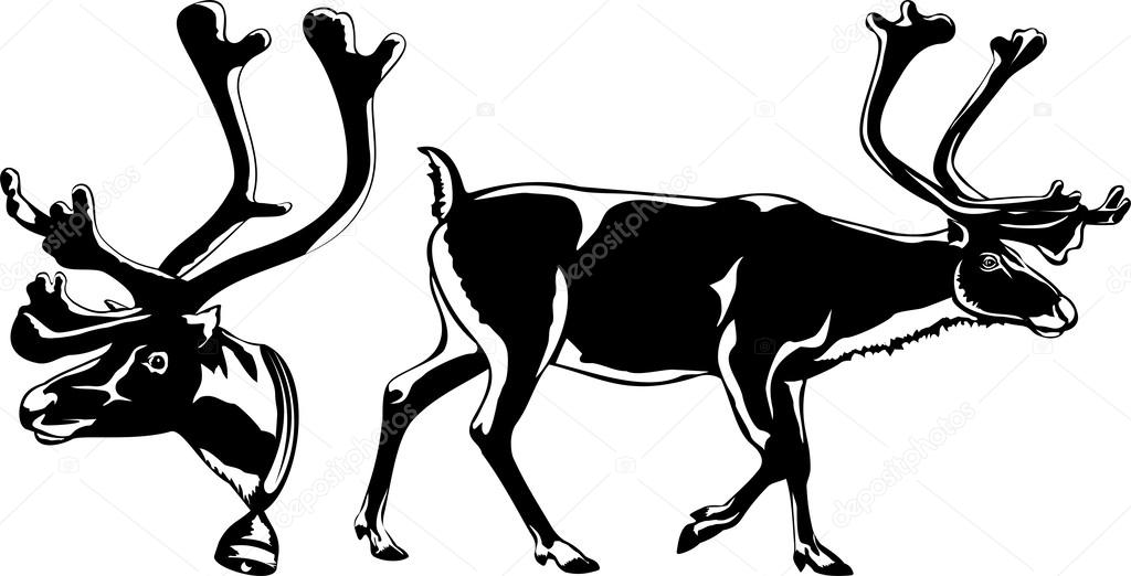 Reindeers - vector silhouettes
