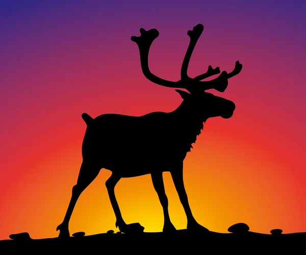 Reindeer - vector silhouette on the background of sunset sky — Stock Vector