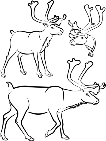 Reindeer - vector outlines — Stock Vector