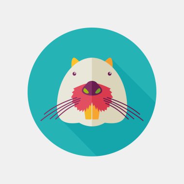 Su samuru düz simgesi kunduz. Hayvan baş vektör