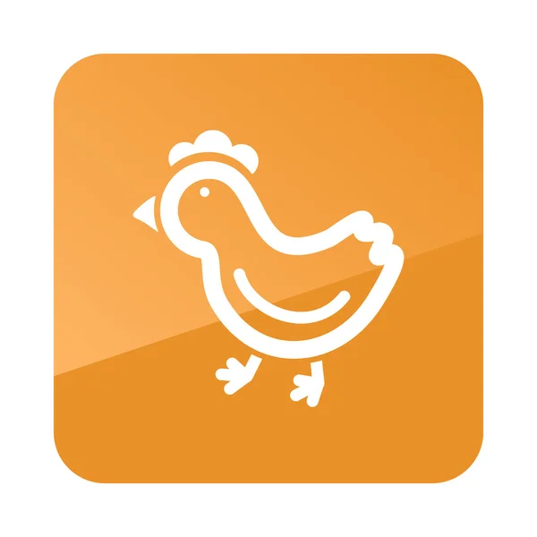 Csirke lapos ikonra. Állati vektoros illusztráció — Stock Vector
