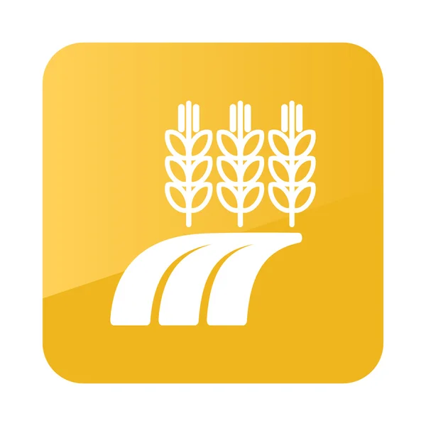 Ears Wheat, Barley or Rye Field vector icon. Farm — Stock Vector