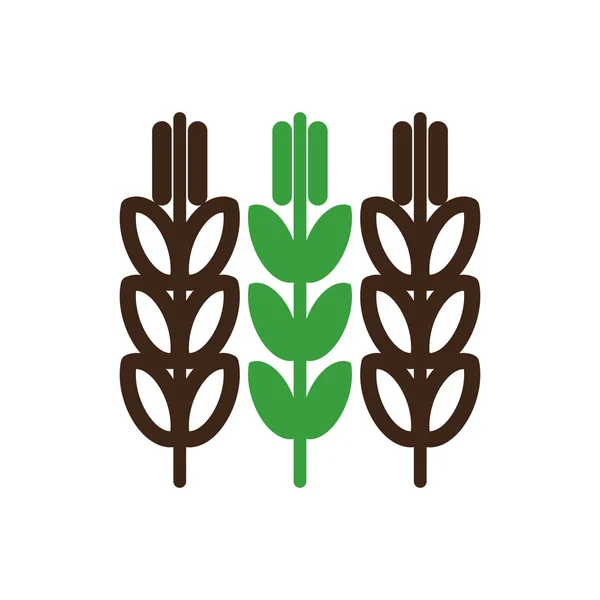 Spikelets of wheat vector icon. Farm — Stock Vector