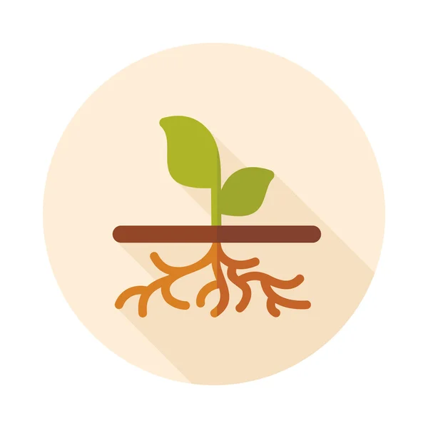 Plant with roots flat vector icon, garden — Stock Vector