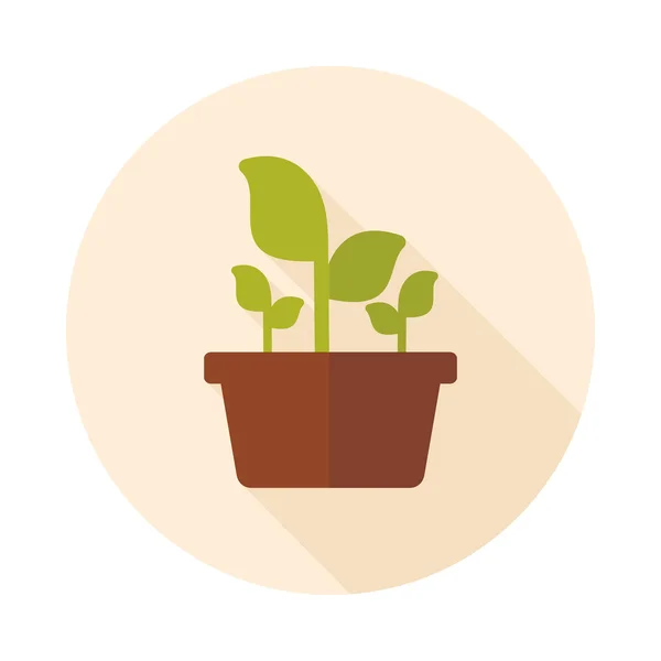 Plant in pot flat icon, garden, flowerpot — Stock Vector