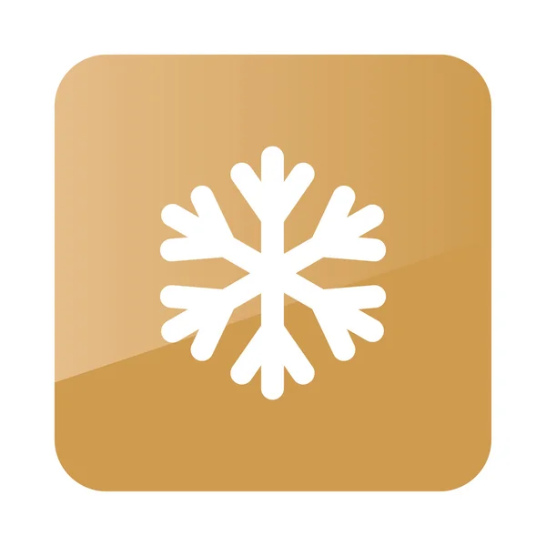 Νιφάδα χιονιού χιόνι εικονίδιο. Μετεωρολογία. Καιρός — Διανυσματικό Αρχείο