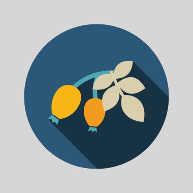 Kırmızı meyveler kuşburnu şube düz simgesi