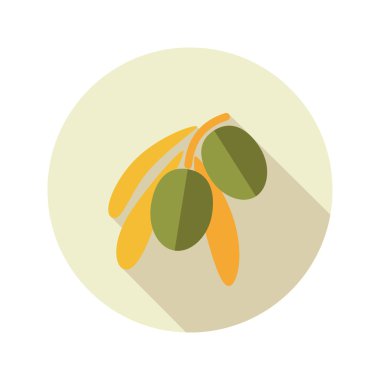 Zeytin düz simgesi. Tropikal meyve