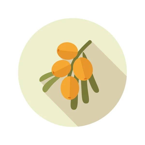 Branch of sea-buckthorn berries flat icon. Berry — Stock Vector